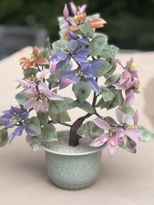 Oriental bonsai jade for sale  Averill Park