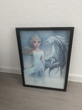 Framed frozen picture for sale  Beeville