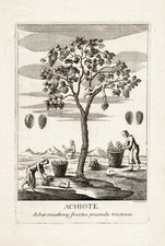 Original 1730s engraving for sale  Elizabethport
