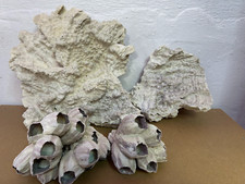 Marine aquarium coral for sale  Aston
