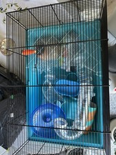 extra large hamster cage for sale extra large hamster cage for sale BIRMINGHAM