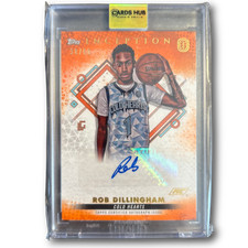Rob dillingham 2022 usato  Reggio Emilia