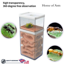 Ant house transparent for sale  COALVILLE