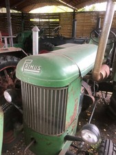 Schlepper primus p22 gebraucht kaufen  Weinböhla