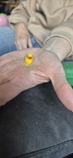 Small yellow toy for sale  LARNE