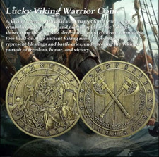 Lucky viking warrior for sale  DERBY