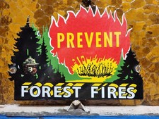Vintage smokey bear for sale  Shavertown