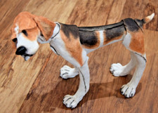 Breed apart foxhound for sale  CIRENCESTER