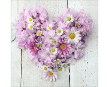 Glasbild flower heart gebraucht kaufen  Deutschland