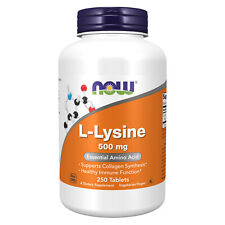 Foods lysine 500 for sale  Apex