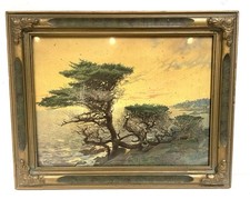 Framed print pebble for sale  Fortuna