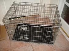Medium collapsible dog for sale  TAUNTON