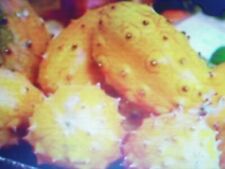 Graines kiwano d'occasion  Saintes
