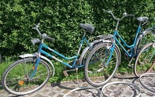 Ddr damenrad fahrrad gebraucht kaufen  Freiberg