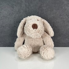 Next puppy dog for sale  ROTHERHAM