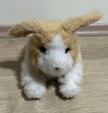 Furreal friends hase gebraucht kaufen  Odelzhausen