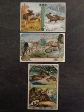 Lot chromos chicoree d'occasion  Expédié en Belgium