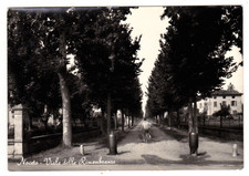 Cartolina noceto viale usato  Vetto