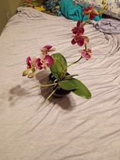 Artificial purple orchid for sale  Kansas City