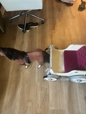 Retired american girl for sale  Brentwood