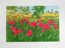 Franco azzinari 80x60 usato  Como