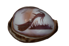 Carved cowrie shell for sale  Franklin