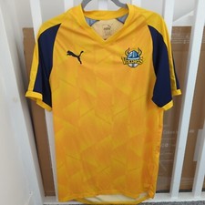 Yorkshire 2020 t20 for sale  SHEFFIELD