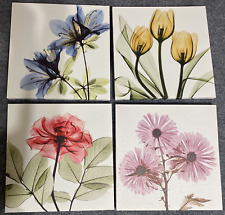 Art prints watercolor for sale  Waterloo