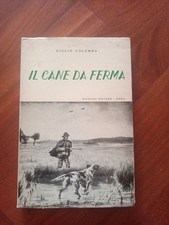 cane cani caccia usato cane cani caccia usato Roma