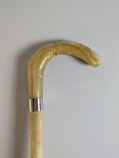 Rams horn cane for sale  DUNDEE