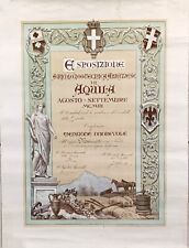 1903 diploma mannetti usato  Magenta