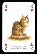 Playing card cat for sale  EASTBOURNE