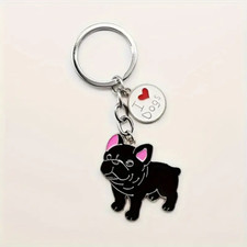 Adorable french bulldog for sale  Dade City