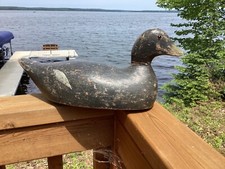 Vintage wisconsin duck for sale  Neillsville