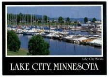 Lake city minnesota for sale  Sandusky