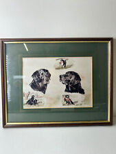 Black labrador gun for sale  OKEHAMPTON