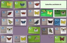 Rspb pin badges for sale  CAMBRIDGE