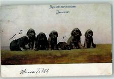 10268395 labradorwelpen hund gebraucht kaufen  Deutschland