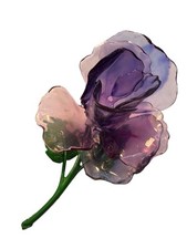 Huge purple flower for sale  Columbus
