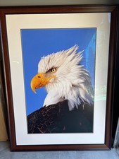 Authentic thomas mangelsen for sale  Kirkland