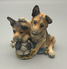 Country artists alsatian for sale  GOOLE