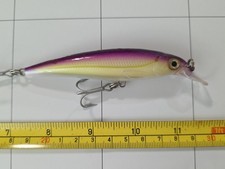 Isca de pesca RAPALA X-RAP JERKBAIT ÁGUA SALGADA GRÁFICO ROXO, usado comprar usado  Enviando para Brazil