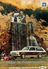 1973 chevrolet chevy for sale  Red Wing