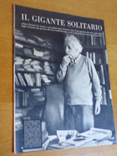 Albert einstein fisico usato Albert einstein fisico usato  San Marcello Piteglio