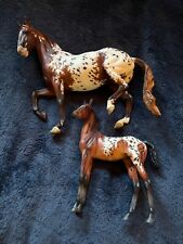 Gorgeous mare filly for sale  Austin