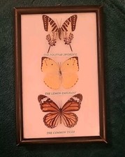 Vintage framed collection for sale  IPSWICH