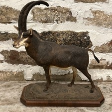 Vintage louis paul for sale  Georgetown