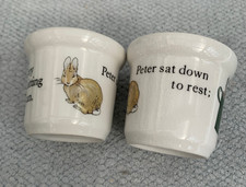 Peter rabbit watering for sale  IPSWICH