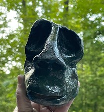 Vintage primitivist head for sale  Sulphur Springs