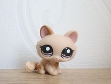 Littlest petshop cat d'occasion  Expédié en Belgium